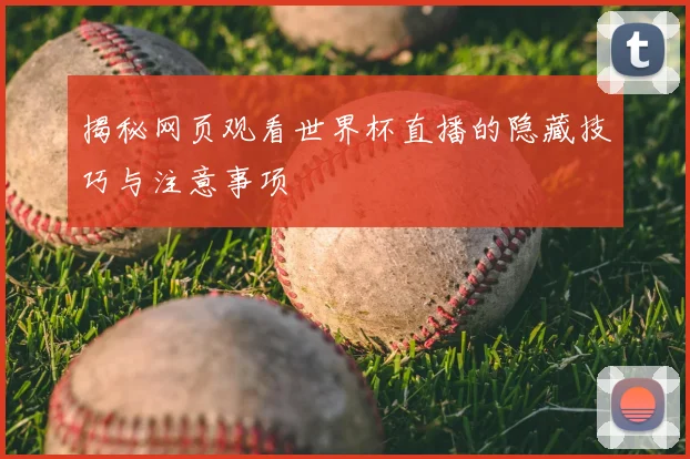 揭秘网页观看世界杯直播的隐藏技巧与注意事项