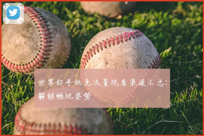 世界杯手机免流量观看渠道汇总：解锁畅玩姿势