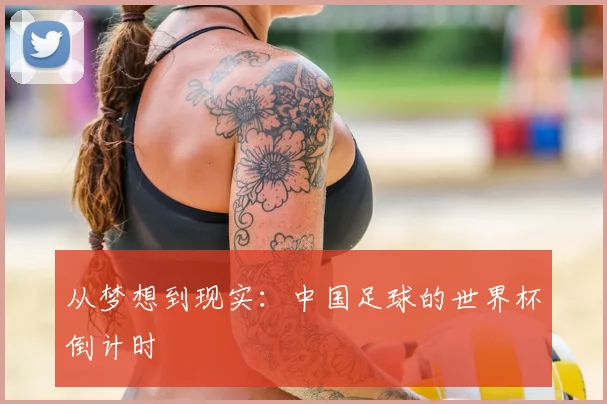 从梦想到现实：中国足球的世界杯倒计时