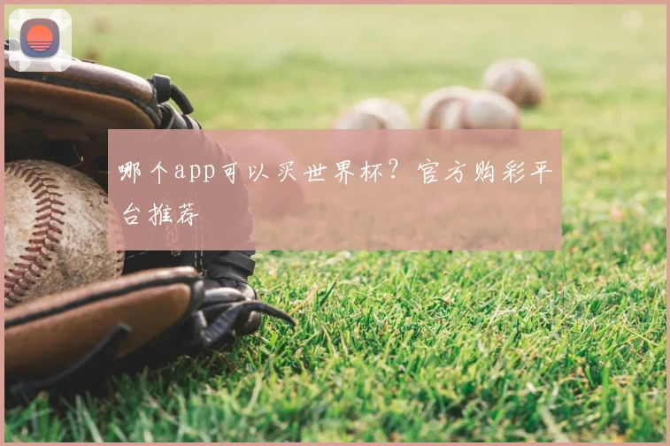 哪个app可以买世界杯?官方购彩平台推荐